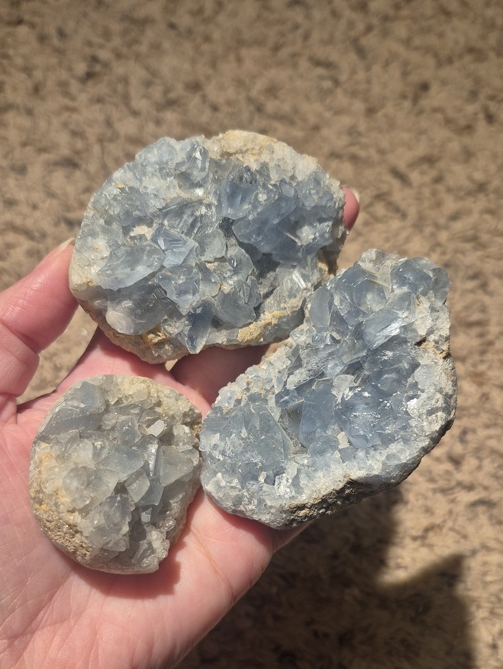 Set of Three Light Blue Celestite Crystal Geode Halves